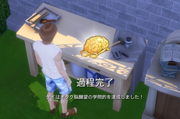 The Sims4 © 2025 Electronic Arts Inc.