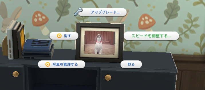 The Sims4 © 2025 Electronic Arts Inc.