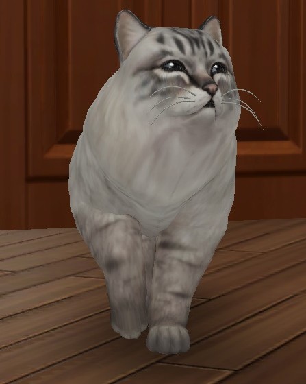 The Sims4 © 2025 Electronic Arts Inc.